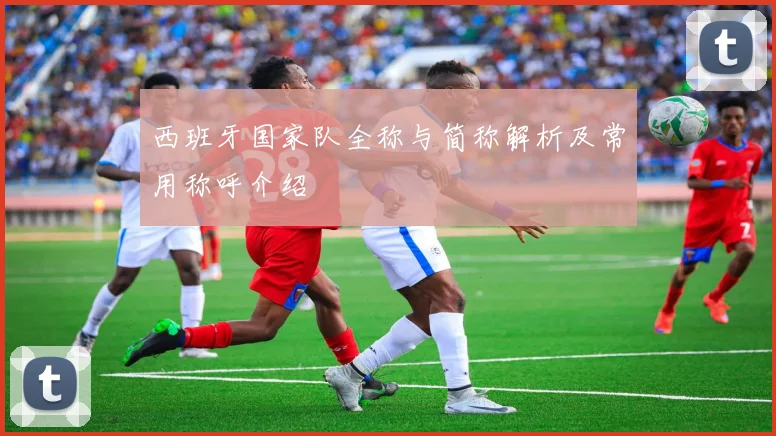 西班牙国家队全称与简称解析及常用称呼介绍