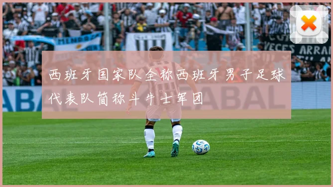 西班牙国家队全称西班牙男子足球代表队简称斗牛士军团