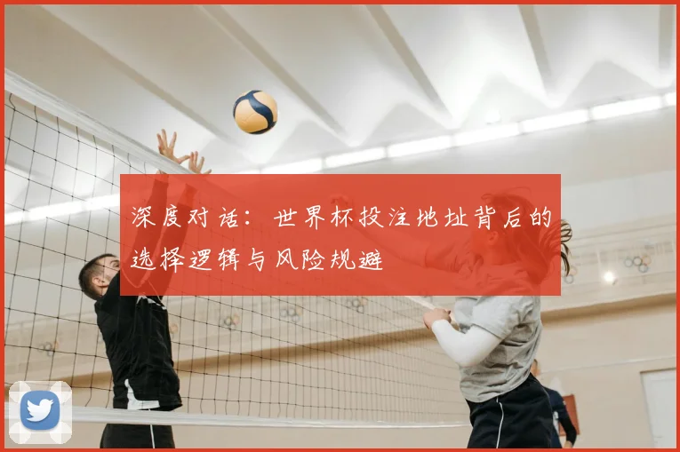深度对话：世界杯投注地址背后的选择逻辑与风险规避