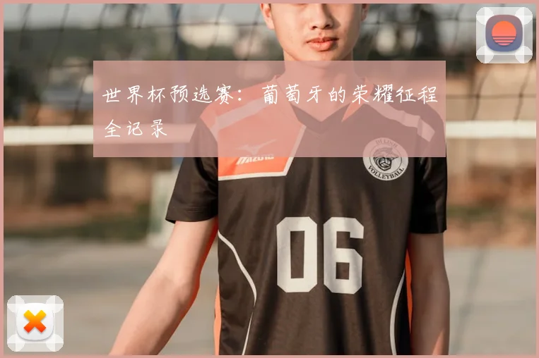 世界杯预选赛：葡萄牙的荣耀征程全记录