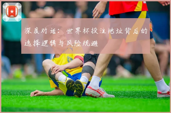 深度对话：世界杯投注地址背后的选择逻辑与风险规避