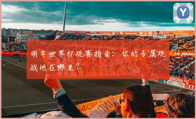 明年世界杯观赛指南：你的专属观战地在哪里？