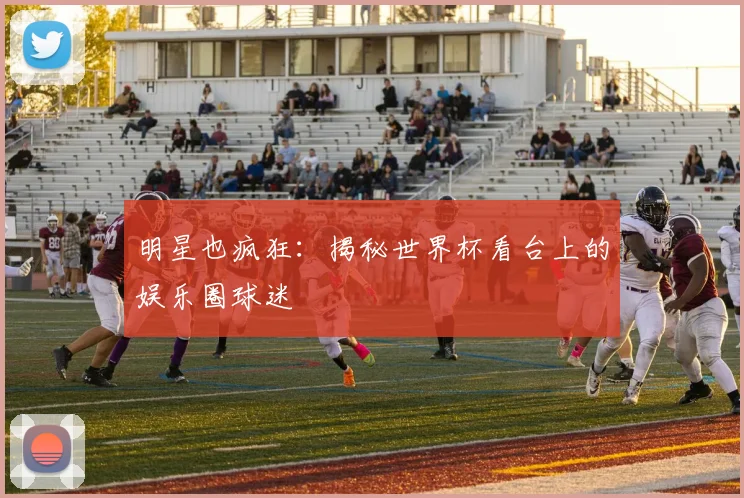 明星也疯狂：揭秘世界杯看台上的娱乐圈球迷