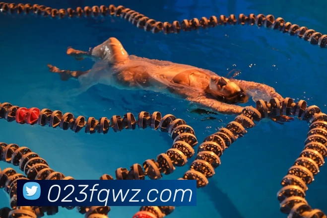 多媒体互动体验